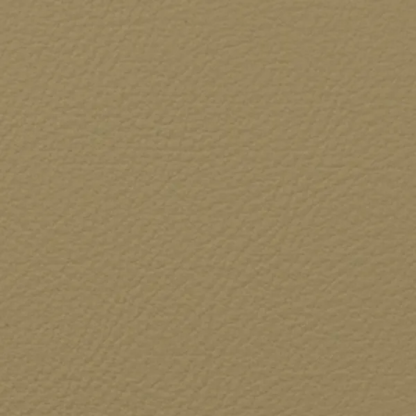 NP402 Pale Khaki